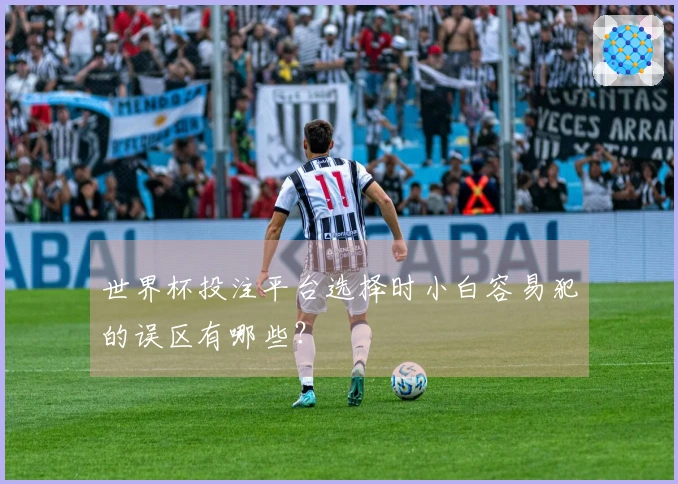 世界杯投注平台选择时小白容易犯的误区有哪些？